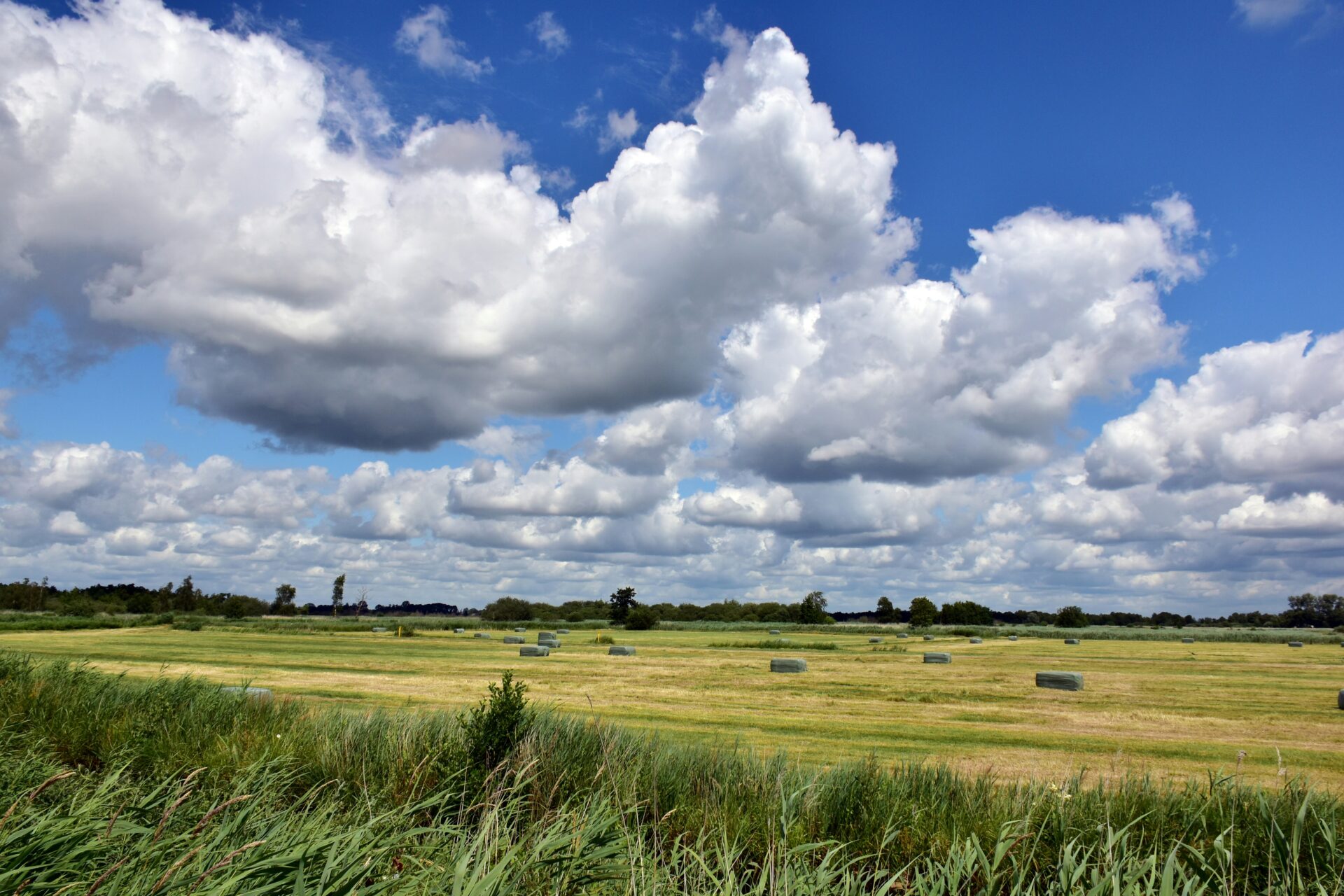 Foto: Ries Bosch